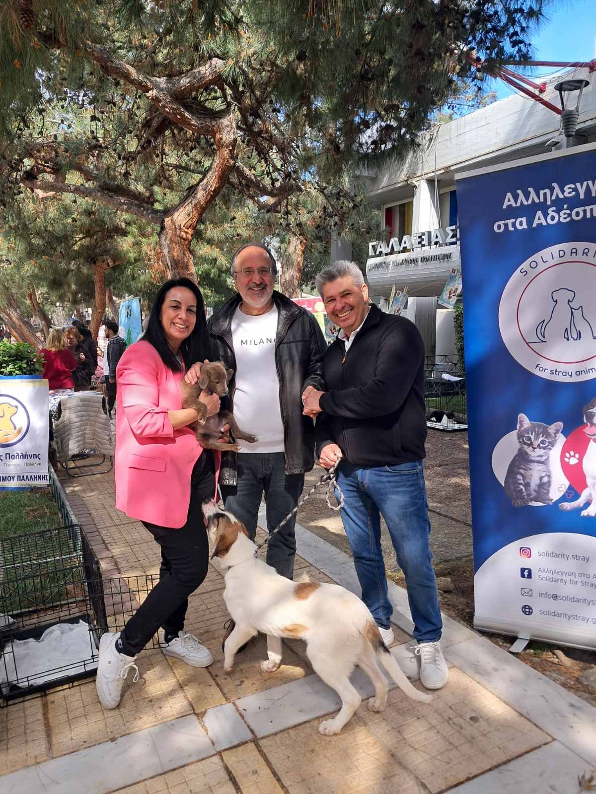 Pet Day στην Πλατεία: Βρήκαν σπίτι οι τετράποδοι φίλοι μας