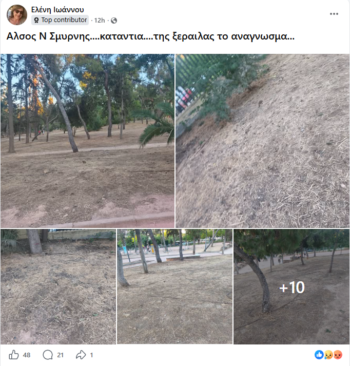 Οργή για τις εικόνες στο Άλσος: τι αλλάζει πραγματικά;