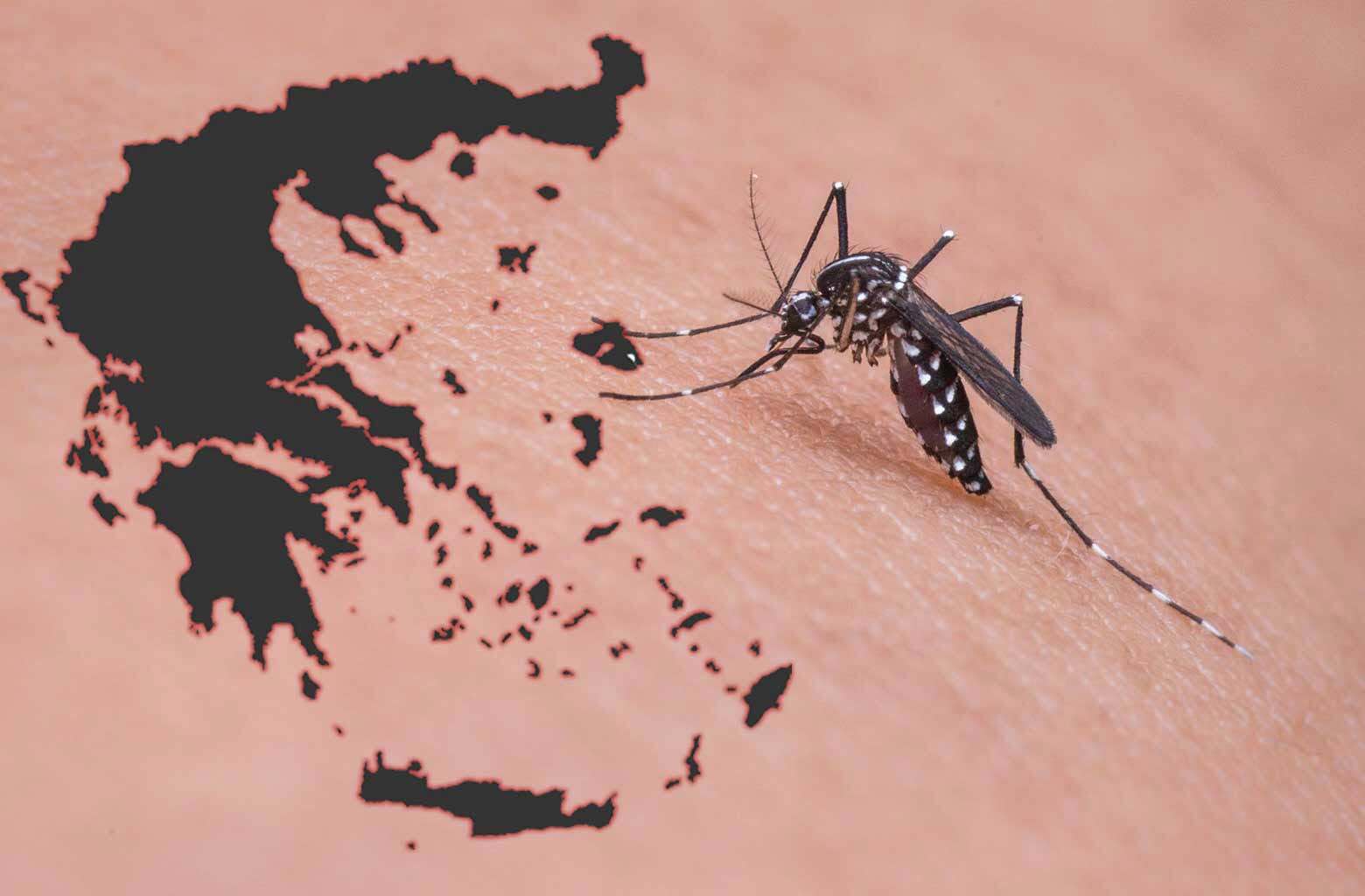 Κανένα κρούσμα ιού Δυτικού Νείλου στη Νέα Σμύρνη παρά τις επτά ψεκασμούς